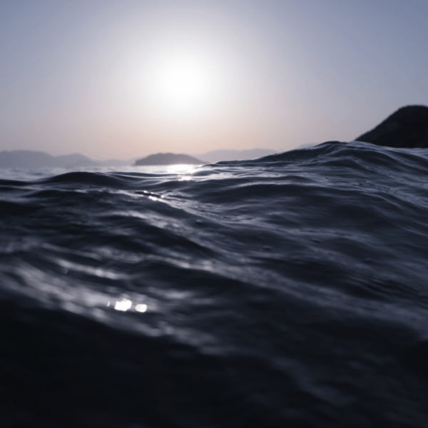 How Divergent Future Scenarios Help Brands Endure Covid-19