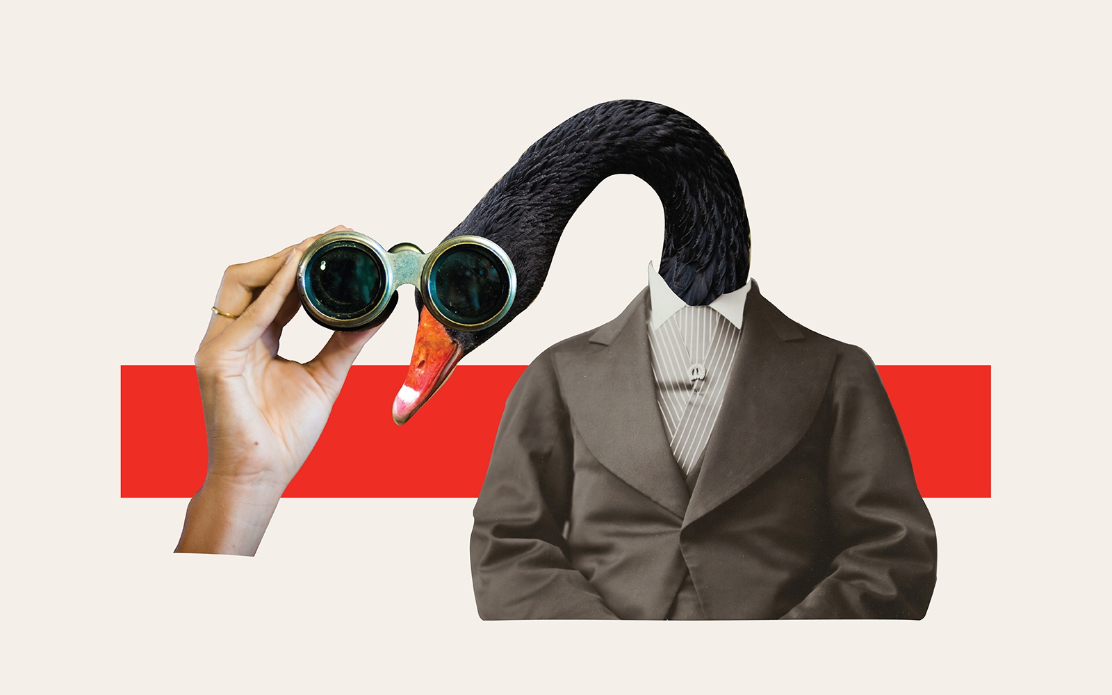 Was Covid a “Black Swan” Event? There’s a Better Question to Be Asking.