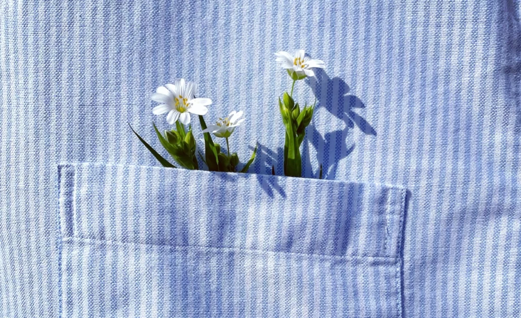 Growth - Flowers in a pocket